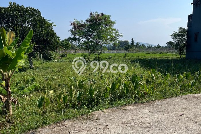 Tanah Dijual Lokasi Ciampea, Bogor Luas 300m2 Legalitas Aman Tanah Dijual Lokasi Ciampea, Bogor Luas 300m2 Legalitas Aman