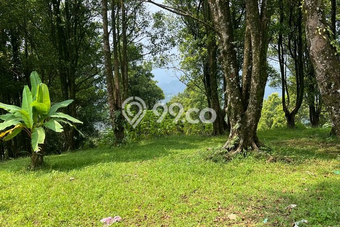 Lahan Kosong Dijual di Bogor dengan Area 30000m2 Lahan Kosong Dijual di Bogor dengan Area 30000m2