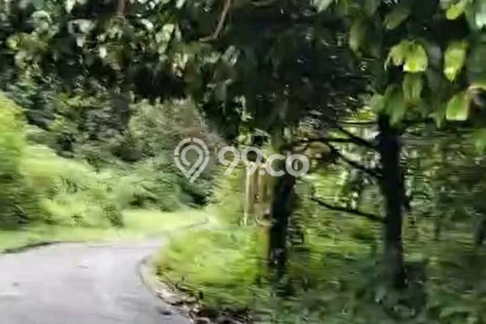 Lahan Kosong Dijual di Bogor dengan Area 7000m2 Lahan Kosong Dijual di Bogor dengan Area 7000m2
