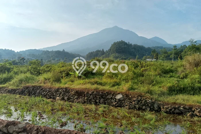 Tanah untuk Dijual di Bogor Barat Bogor Luas 3000m2 Tanah untuk Dijual di Bogor Barat Bogor Luas 3000m2
