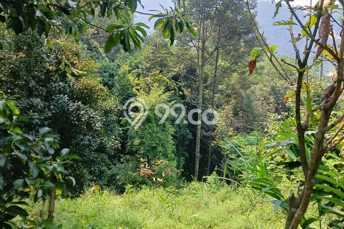 Kavling Tanah Dijual di Bogor Barat, Bogor, Luas 8000m2 Area Strategis Kavling Tanah Dijual di Bogor Barat, Bogor, Luas 8000m2 Area Strategis
