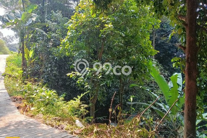Kavling Tanah Dijual di Bogor Barat, Bogor, Luas 8000m2 Area Strategis Kavling Tanah Dijual di Bogor Barat, Bogor, Luas 8000m2 Area Strategis