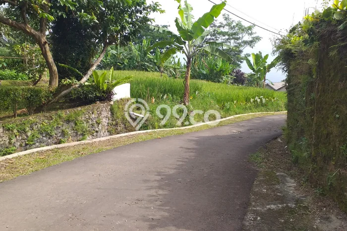 Kavling Tanah Dijual di Bogor Barat, Bogor, Luas 8600m2 Area Strategis Kavling Tanah Dijual di Bogor Barat, Bogor, Luas 8600m2 Area Strategis