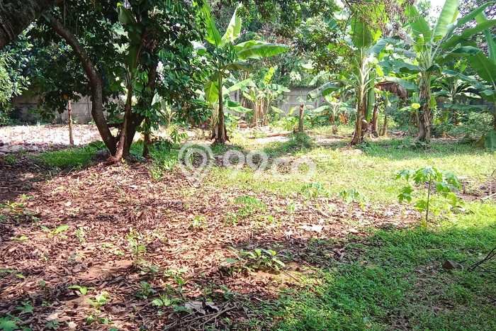 Dijual Tanah di Cimuning Bekasi Luas 3929m2 SHM Dijual Tanah di Cimuning Bekasi Luas 3929m2 SHM
