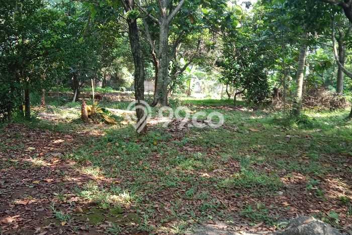 Dijual Tanah di Cimuning Bekasi Luas 3929m2 SHM Dijual Tanah di Cimuning Bekasi Luas 3929m2 SHM