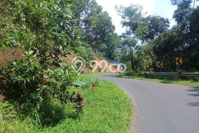 Jarang Ada! Tanah di Subang Punya Luas 65000m2 SHM Jarang Ada! Tanah di Subang Punya Luas 65000m2 SHM