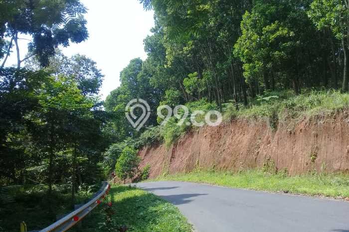 Jarang Ada! Tanah di Subang Punya Luas 65000m2 SHM Jarang Ada! Tanah di Subang Punya Luas 65000m2 SHM