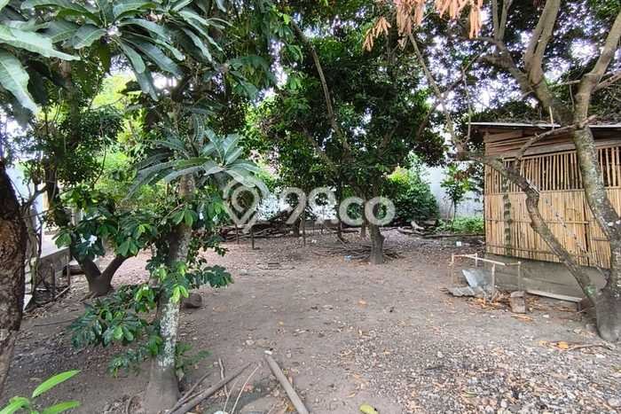 Tanah Kavling di Banguntapan Dijual dengan Luas 390m2 Tanah Kavling di Banguntapan Dijual dengan Luas 390m2