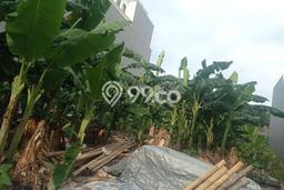 Tanah Dijual Lokasi Menteng Jakarta Pusat SHM Tanah Dijual Lokasi Menteng Jakarta Pusat SHM