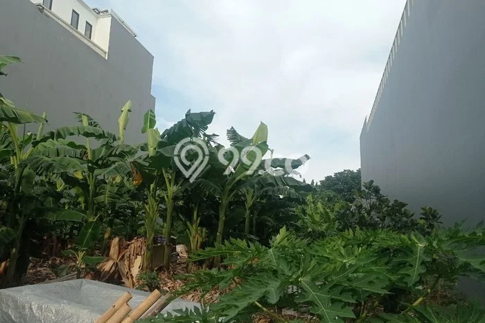 Tanah Dijual Lokasi Menteng Jakarta Pusat SHM Tanah Dijual Lokasi Menteng Jakarta Pusat SHM