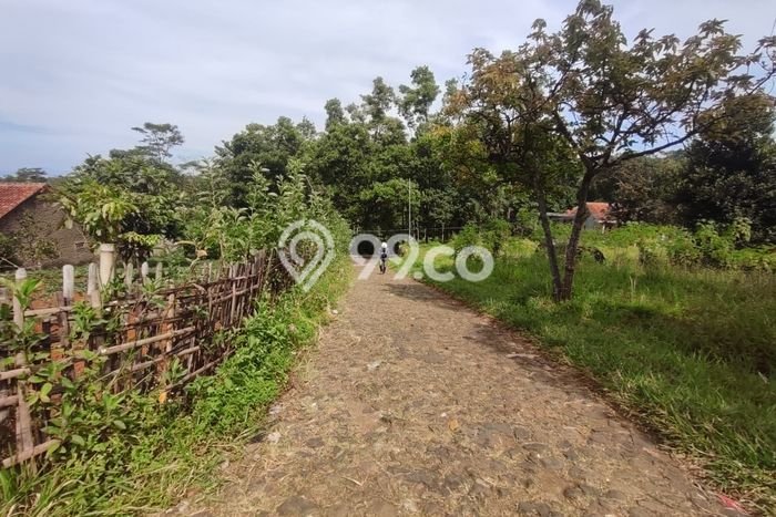 Tanah Dijual Lokasi Cileunyi Bandung SHM Tanah Dijual Lokasi Cileunyi Bandung SHM
