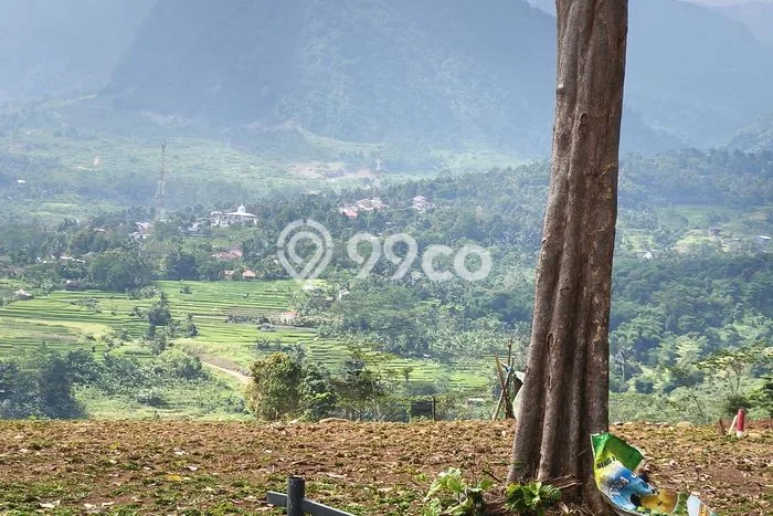 Lahan Strategis di Sukma Jaya Dijual dengan Luas 1000m2 Lahan Strategis di Sukma Jaya Dijual dengan Luas 1000m2