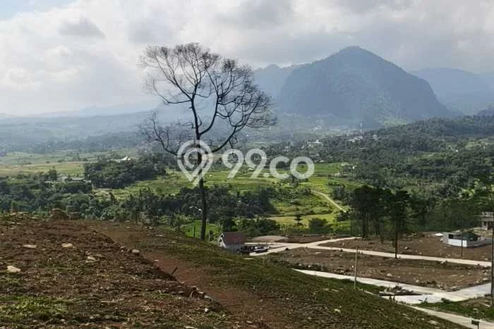 Kavling Tanah di Sukma Jaya Dijual Luas 1000m2 Legalitas SHM Kavling Tanah di Sukma Jaya Dijual Luas 1000m2 Legalitas SHM