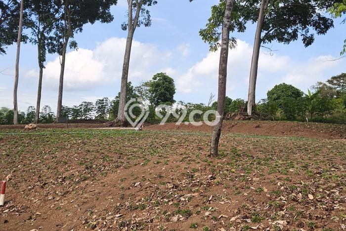 Lahan Strategis di Sukma Jaya Dijual dengan Luas 1000m2 Lahan Strategis di Sukma Jaya Dijual dengan Luas 1000m2