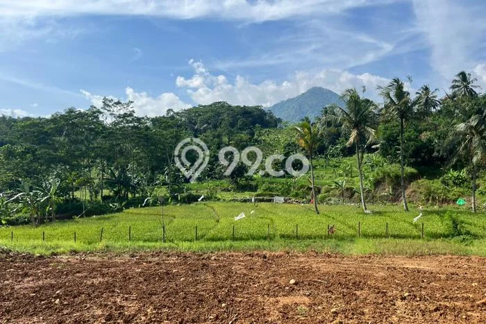 Tanah Dijual Lokasi Cibinong, Bogor dengan Luas Tanah 1000m2 dan Status SHM Tanah Dijual Lokasi Cibinong, Bogor dengan Luas Tanah 1000m2 dan Status SHM