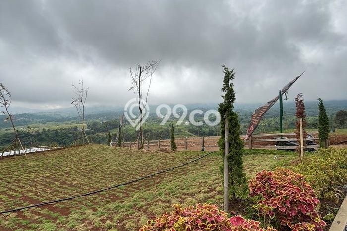 Kavling Tanah Dijual di Sukma Jaya, Depok, Luas 1000m2 Area Strategis Kavling Tanah Dijual di Sukma Jaya, Depok, Luas 1000m2 Area Strategis