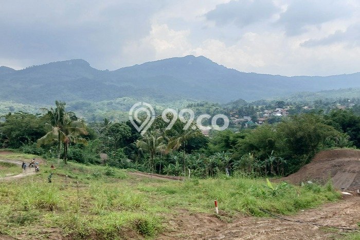 Lahan untuk Dijual di Citeureup Bogor Luas 100m2 Lahan untuk Dijual di Citeureup Bogor Luas 100m2
