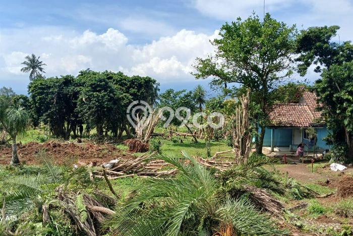 Tanah Dijual Area Strategis di Depok I Depok 200m2 Tanah Dijual Area Strategis di Depok I Depok 200m2