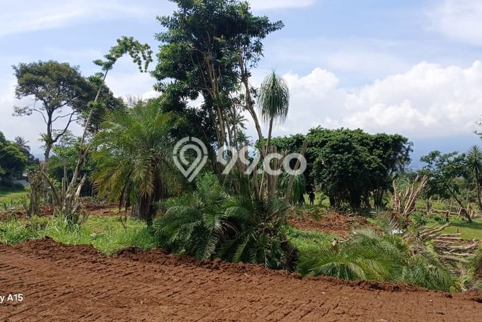 Tanah Dijual Area Strategis di Depok I Depok 200m2 Tanah Dijual Area Strategis di Depok I Depok 200m2