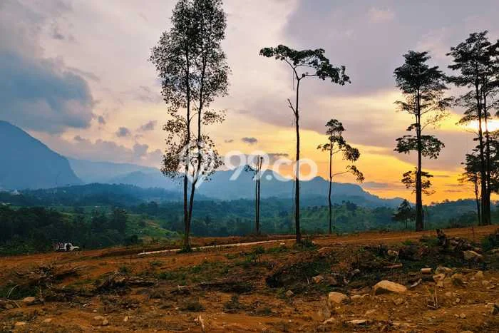 Untuk Dijual Tanah di Depok, Luas 500m2 SHM Untuk Dijual Tanah di Depok, Luas 500m2 SHM