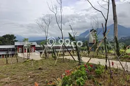 Untuk Dijual Tanah 700m2 di Sentul City, Bogor Untuk Dijual Tanah 700m2 di Sentul City, Bogor