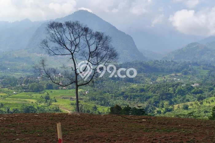 Untuk Dijual Tanah 900m2 di Sentul City, Bogor Untuk Dijual Tanah 900m2 di Sentul City, Bogor