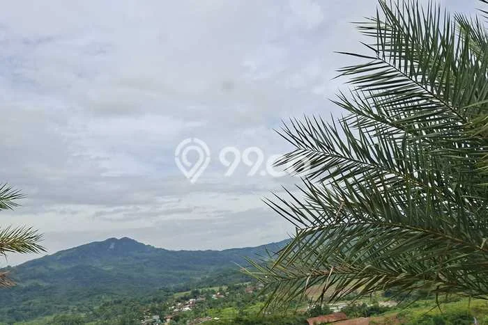 Lahan Dijual Lokasi Strategis di Bogor dengan Luas 1000m2 Lahan Dijual Lokasi Strategis di Bogor dengan Luas 1000m2