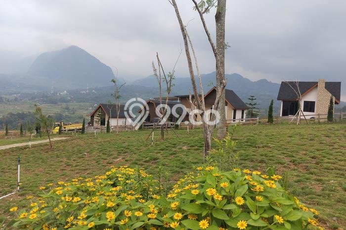 Lahan Kosong Dijual di Bogor dengan Area 500m2 Lahan Kosong Dijual di Bogor dengan Area 500m2
