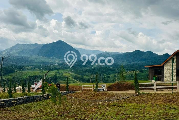 Tanah untuk Dijual di Sukamakmur Bogor Luas 800m2 Tanah untuk Dijual di Sukamakmur Bogor Luas 800m2