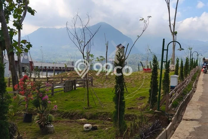Untuk Dijual Tanah 800m2 di Puncak, Bogor Untuk Dijual Tanah 800m2 di Puncak, Bogor