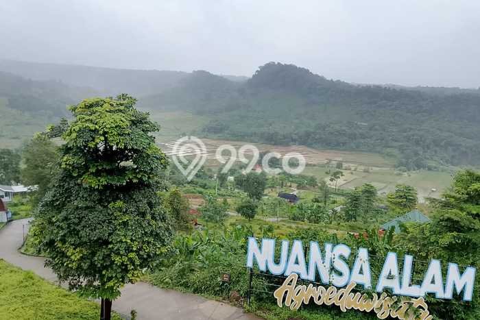 Jarang Ada! Tanah di Ciracas Punya Luas 1000m2 AJB Jarang Ada! Tanah di Ciracas Punya Luas 1000m2 AJB