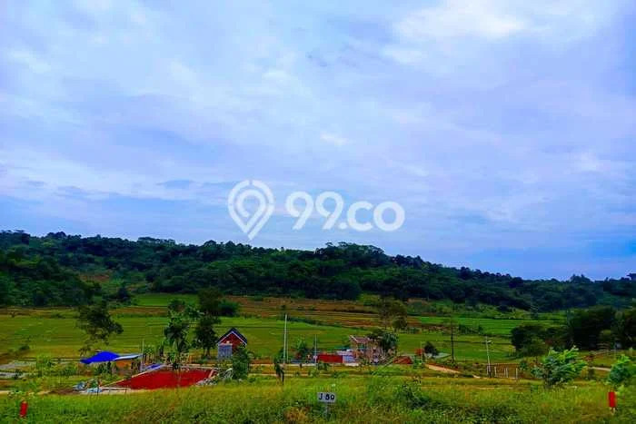 Tanah Kavling Dijual di Bogor dengan Spesifikasi 1000m2 Tanah Kavling Dijual di Bogor dengan Spesifikasi 1000m2