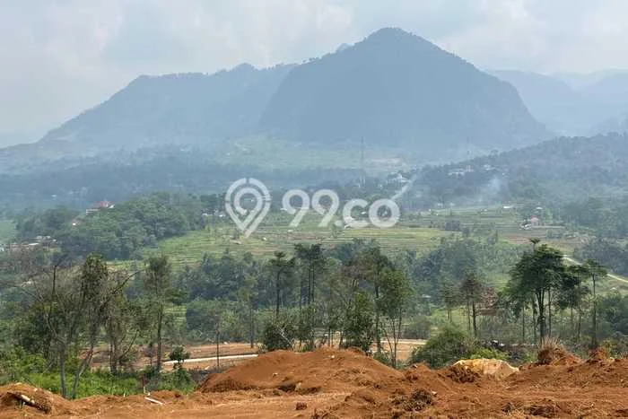 Tanah Investasi Dijual di Bogor Punya Luas 1000m2 Tanah Investasi Dijual di Bogor Punya Luas 1000m2