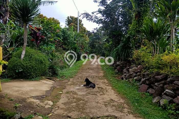 Tanah Dijual Lokasi Sukasada Buleleng SHM Tanah Dijual Lokasi Sukasada Buleleng SHM