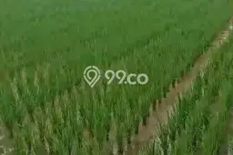 Kavling Tanah untuk Dijual di Raya Serang, Tangerang, Luas 1e+06m2 Kavling Tanah untuk Dijual di Raya Serang, Tangerang, Luas 1e+06m2