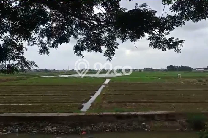 Dijual Tanah di Tangerang, Luas 320000m2 SHM Dijual Tanah di Tangerang, Luas 320000m2 SHM