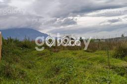 Tanah untuk Dijual di Lowokwaru Malang Luas 1565m2 Tanah untuk Dijual di Lowokwaru Malang Luas 1565m2