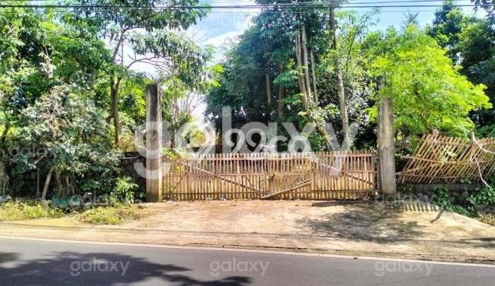 Tanah untuk Dijual di Batu Batu Luas 1000m2 Tanah untuk Dijual di Batu Batu Luas 1000m2