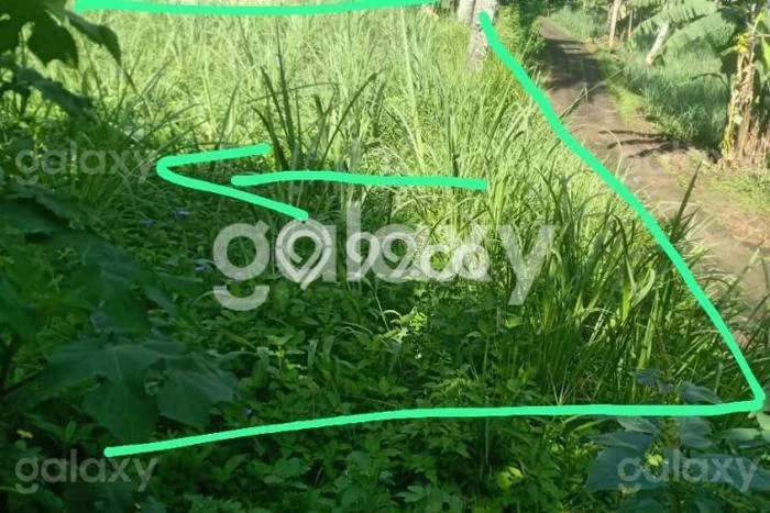 Tanah untuk Dijual di Dampit Malang Luas 3435m2 Tanah untuk Dijual di Dampit Malang Luas 3435m2