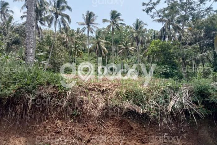 Tanah untuk Dijual di Dampit Malang Luas 3435m2 Tanah untuk Dijual di Dampit Malang Luas 3435m2