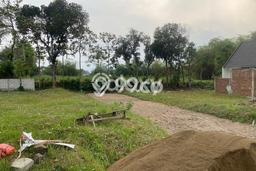 Tanah Dijual Lokasi Singosari Malang SHM Tanah Dijual Lokasi Singosari Malang SHM