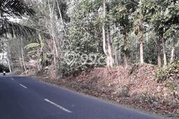 Jarang Ada! Tanah di Tempel Punya Luas 4455m2 SHM Jarang Ada! Tanah di Tempel Punya Luas 4455m2 SHM