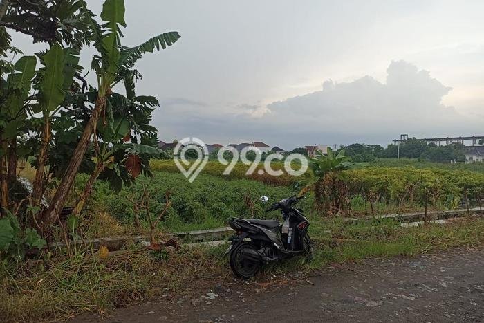 Lahan Dijual Lokasi Strategis di Yogyakarta dengan Luas 750m2 Lahan Dijual Lokasi Strategis di Yogyakarta dengan Luas 750m2