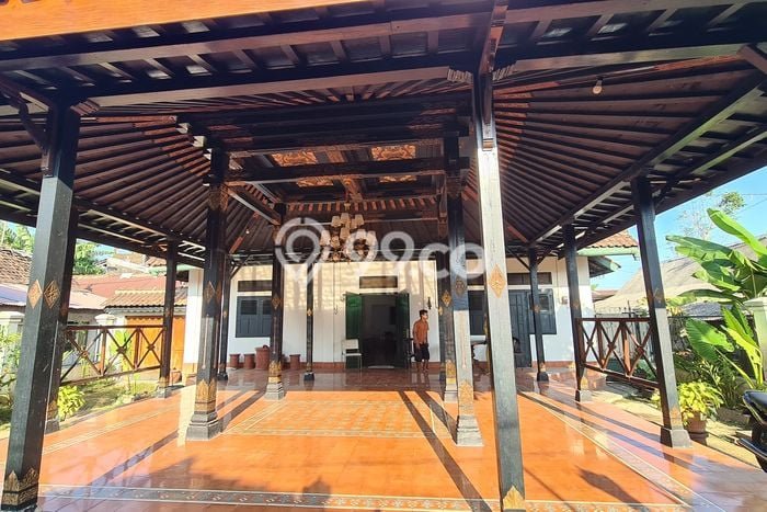 Dijual Rumah 3 Kamar Lokasi Strategis Nyaman dan Strategis di Jetis Dijual Rumah 3 Kamar Lokasi Strategis Nyaman dan Strategis di Jetis