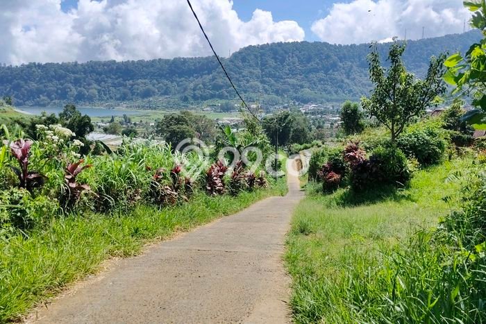Untuk Dijual Tanah di Tabanan, Luas 15100m2 SHM Untuk Dijual Tanah di Tabanan, Luas 15100m2 SHM