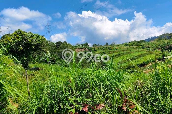Untuk Dijual Tanah di Tabanan, Luas 15100m2 SHM Untuk Dijual Tanah di Tabanan, Luas 15100m2 SHM