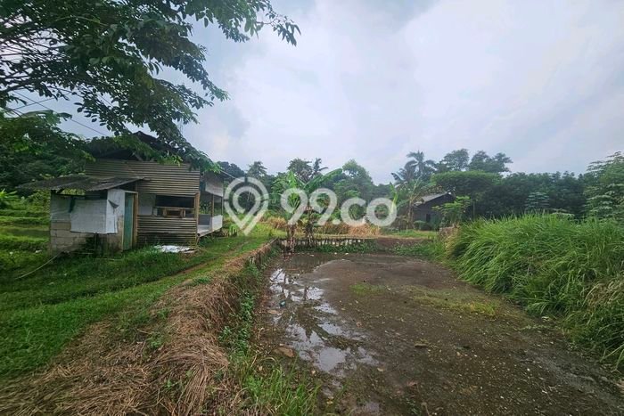 Untuk Dijual Tanah di Gunung Sindur Bogor Luas 1500m2 SHM Untuk Dijual Tanah di Gunung Sindur Bogor Luas 1500m2 SHM