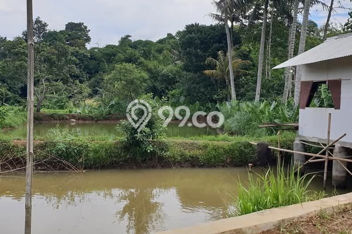 Lahan untuk Dijual Lokasi Gunung Sindur, Bogor Luas 1570m2 - Lahan untuk Dijual Lokasi Gunung Sindur, Bogor Luas 1570m2 -