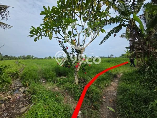 Dijual Tanah 2715m2 di Temesi, Gianyar Dijual Tanah 2715m2 di Temesi, Gianyar