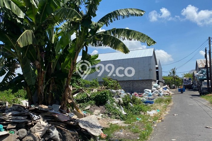 Tanah Kavling Disewakan di Renon dengan Luas 1100m2 Tanah Kavling Disewakan di Renon dengan Luas 1100m2